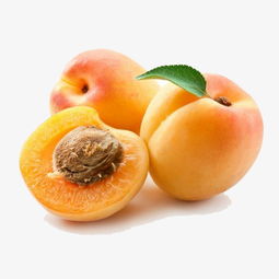專(zhuān)業(yè)免摳素材 三個(gè)黃桃高清產(chǎn)品圖PNG免費(fèi)下載